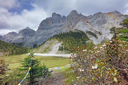 香格里拉大峡谷