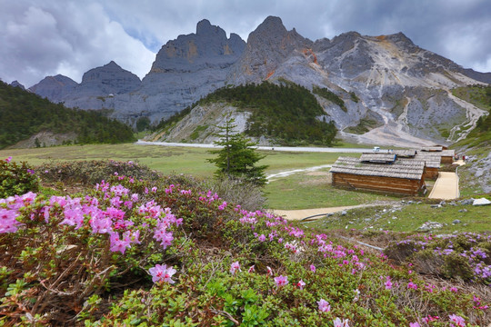 香格里拉大峡谷