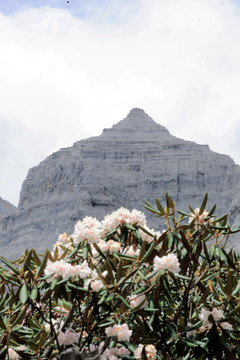 香格里拉大峡谷