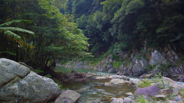 山中溪流