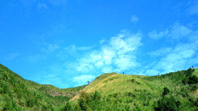 山野