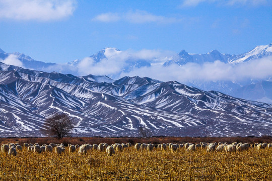 天山山脉积雪