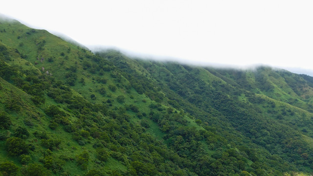 青山 山脉 群山