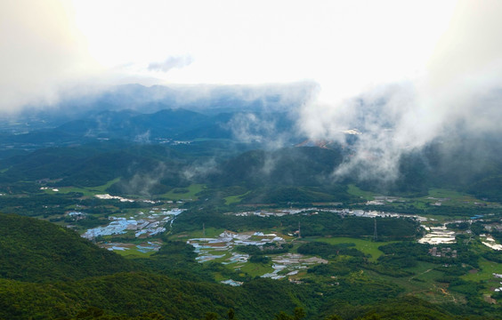 云雾 阳光 田园