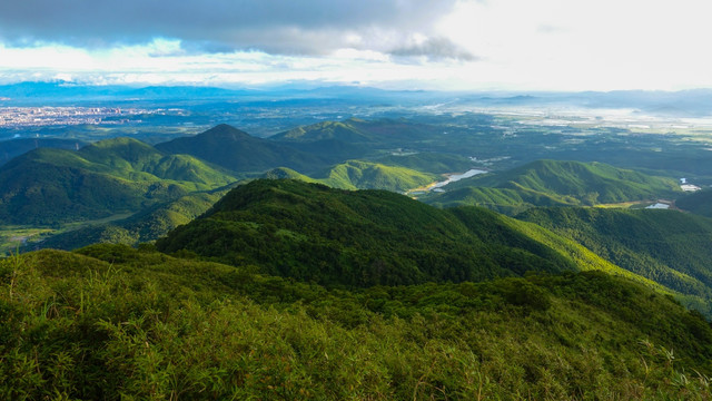 大山 高山 树林