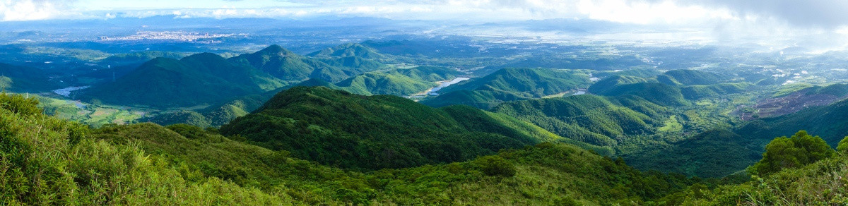 大山 高山 树林