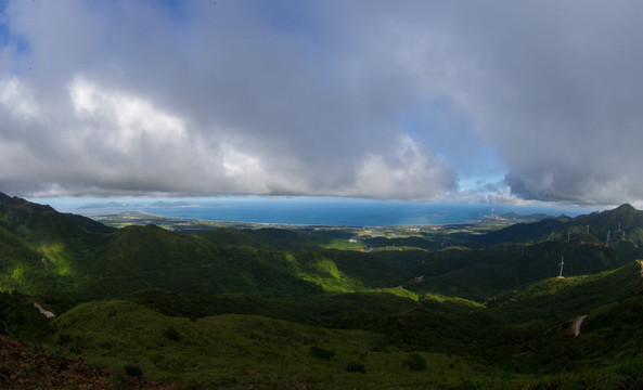 大山 高山 树林