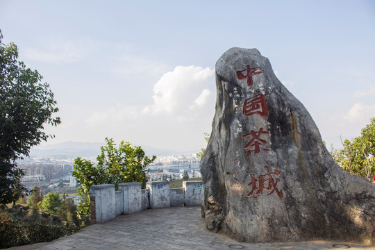 云南省普洱市中国茶城标志