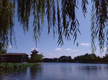 什刹海风景