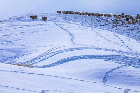 天山山脉积雪