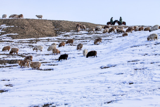 天山山脉积雪