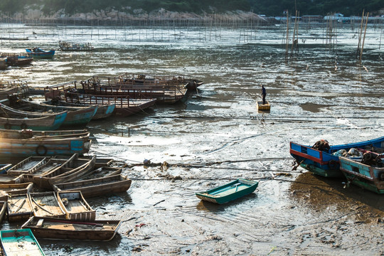 霞浦滩涂