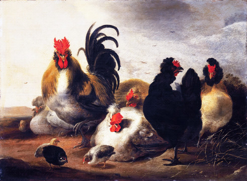 公鸡动物油画