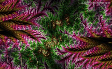 花紋圖案