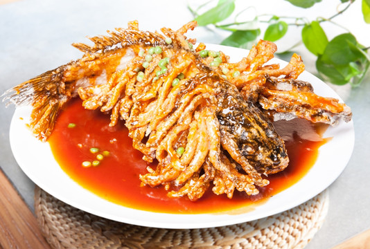 金毛獅子魚