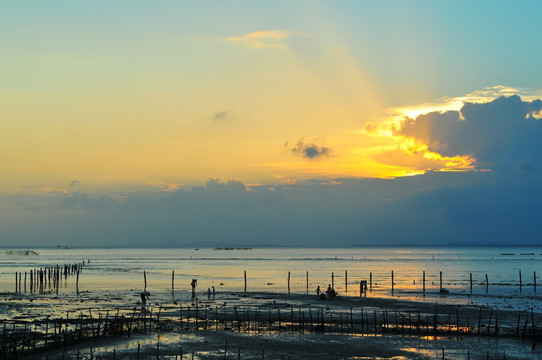 滩涂夕阳 海水养殖 宁静海边