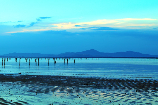 滩涂夕阳 海水养殖 宁静海边