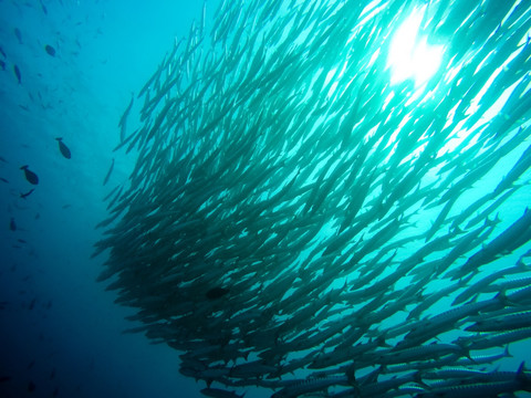 海狼风暴