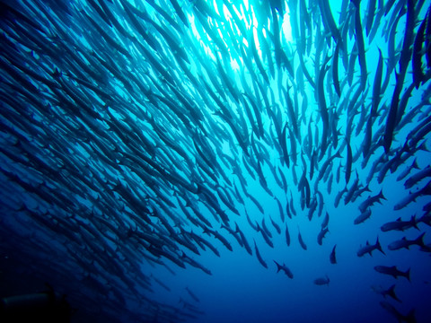 海狼风暴