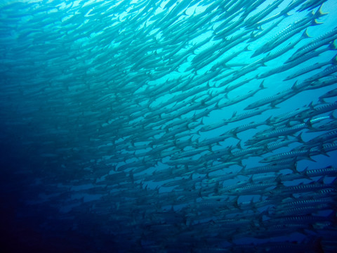 海狼风暴