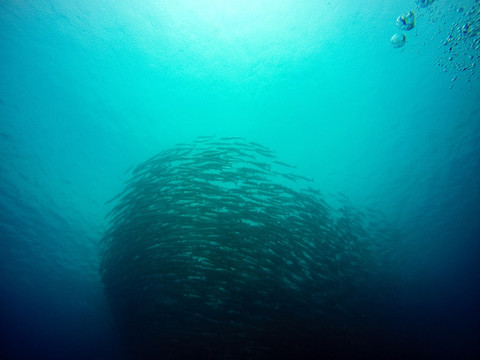 海狼风暴