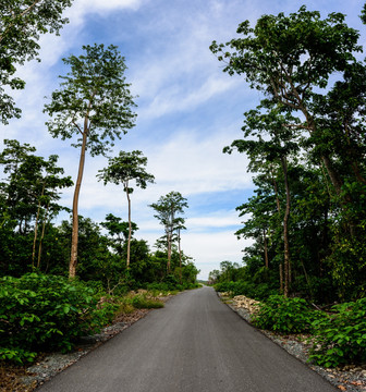 印尼公路