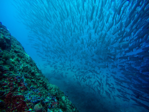 海狼风暴