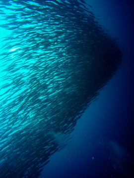 海狼风暴