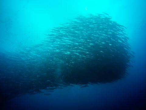 海狼风暴