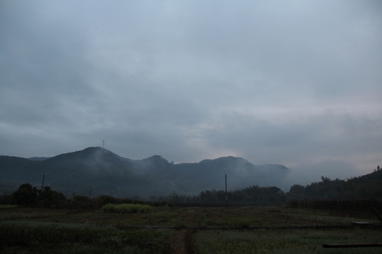 田野