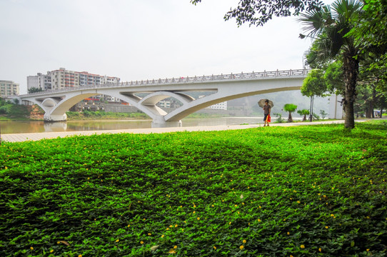 榉子洲花草地