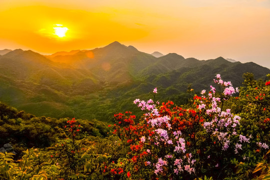 天台山日出