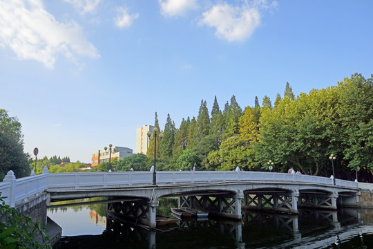 华东师大校园风光 水景