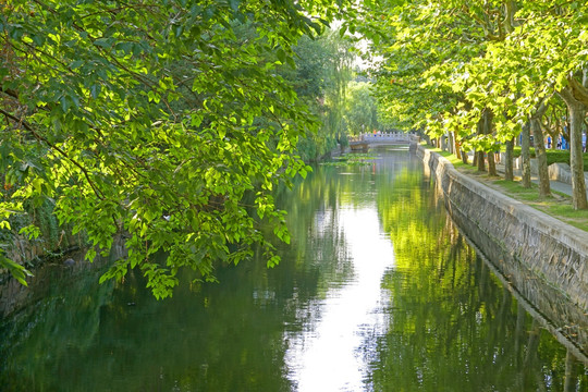 华东师大校园风光 水景