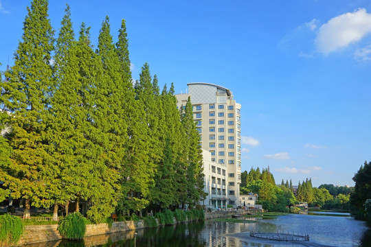 华东师大校园风光 水景