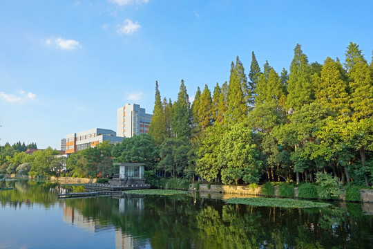 华东师大校园风光 水景