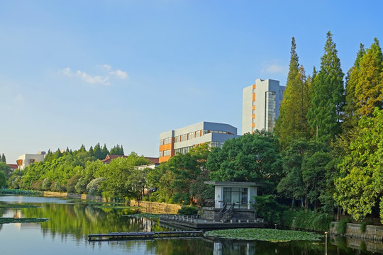 华东师大校园风光 水景