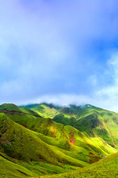 高原牧场