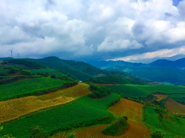 高山梯田