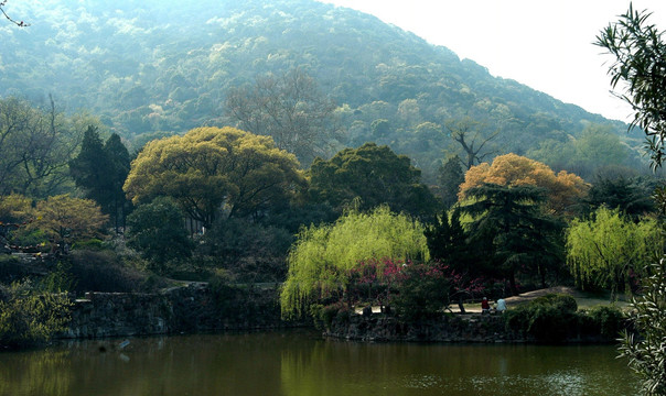 青山绿水