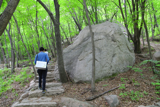 山里 巨石 原始森林