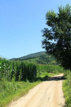 乡间小路