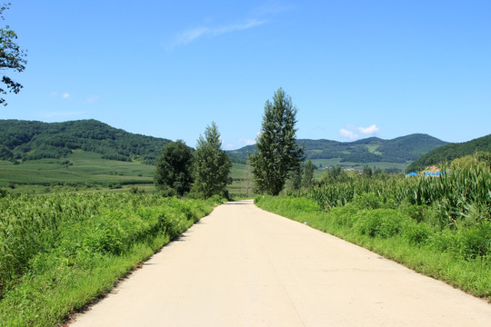 乡间小路