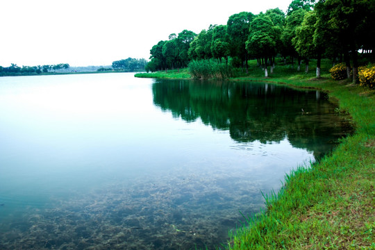 苏州三角咀湿地公园