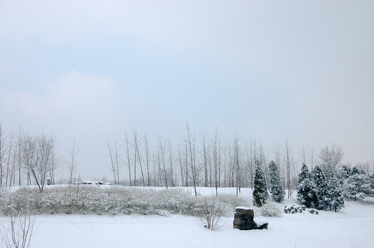 鸿博公园雪景