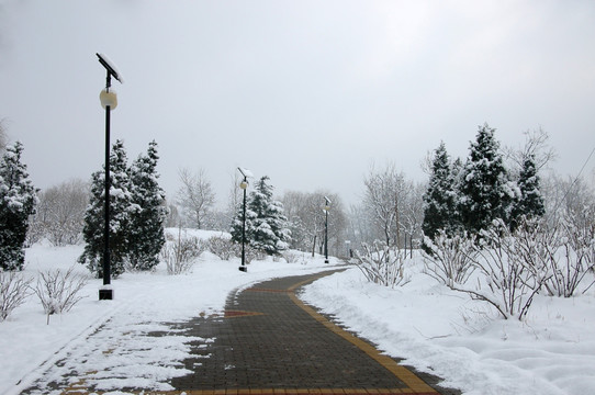 鸿博公园雪景