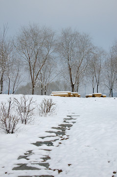 鸿博公园雪景