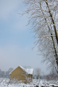 雪中房屋