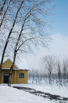 雪中房屋