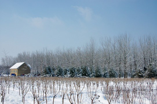 雪中房屋